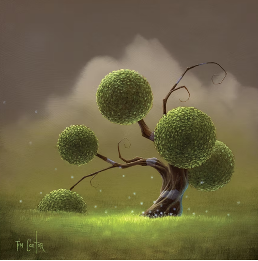 Tim Cantor - The Stance